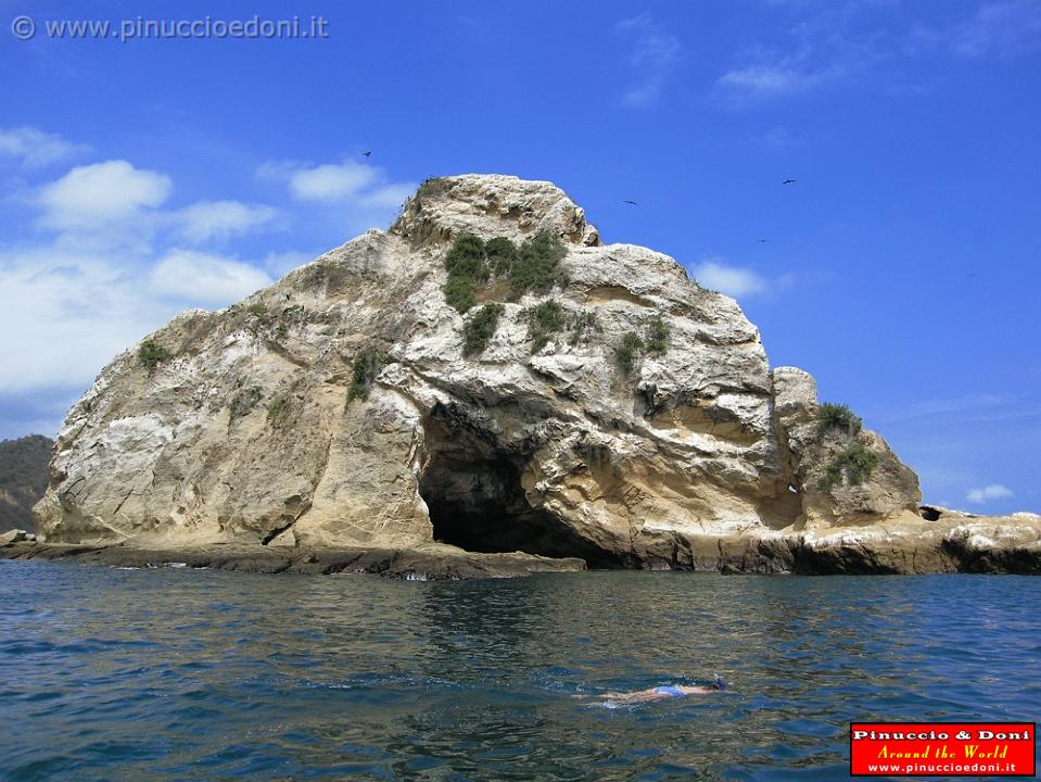 ECUADOR - Whale watching in Puerto Lopez - 19.jpg